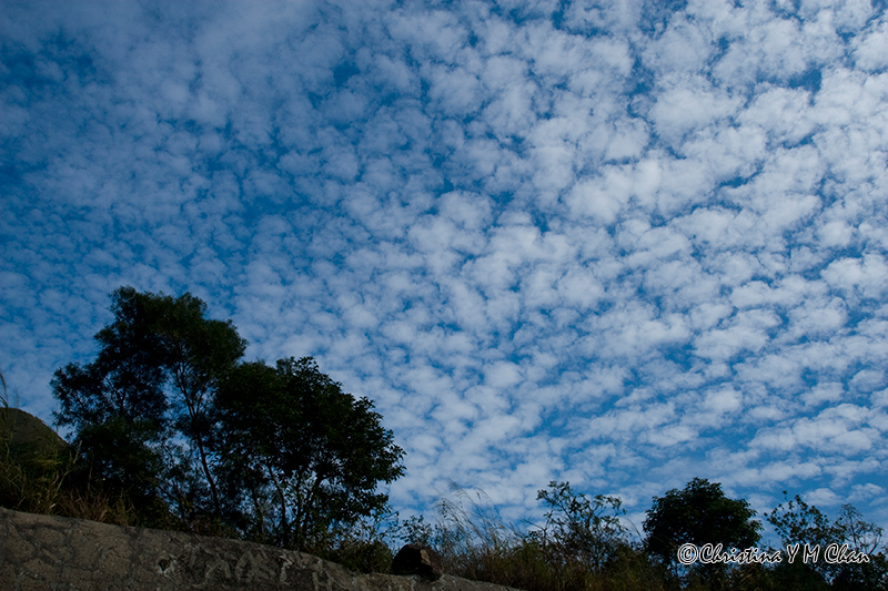 altocumulus image