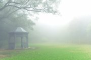 詠霧 - 山頂花園