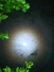 月華 (Lunar Corona)