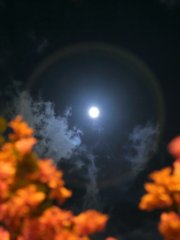 月暈 (Lunar Halo)
