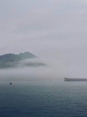 Misty day on the Harbor