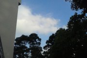 0224 day15 藍天,白雲,綠樹
