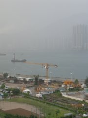 有雨