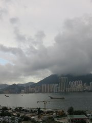 有雨