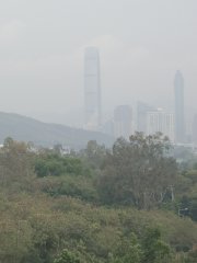 零散驟雨