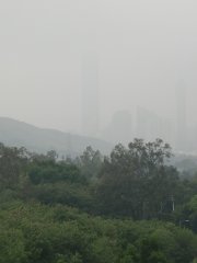 清涼、有薄霧