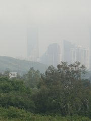 驟雨中見陽光