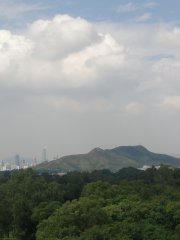 晴朗