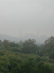 有雨