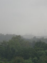 有雨