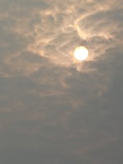 浮雲蔽落日