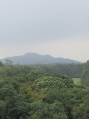 多雲