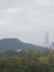間有陽光