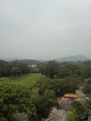 Stratus 