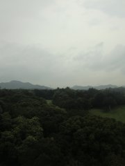 Nimbostratus 