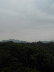 有雨
