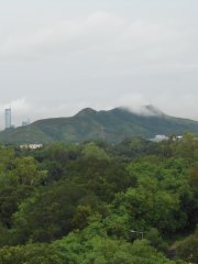 密雲