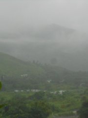 有雨