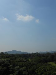 sunny