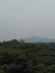多雲