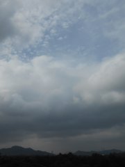 cumulus