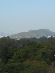 晴朗