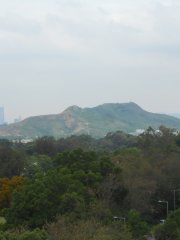 密雲