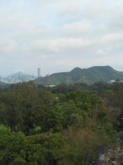 間有陽光