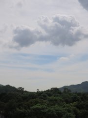 間有陽光