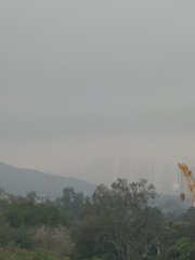 清涼、有霧