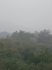 毛毛細雨