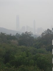 清涼