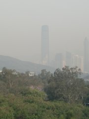 晴朗