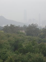 低見度較差