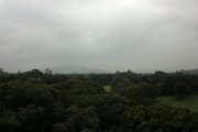 微雨