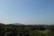 Sunny Monday