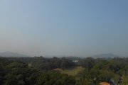 Sunny Monday