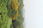 晴朗