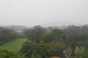 微雨