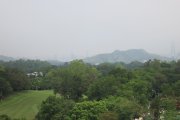 煙霞