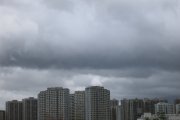 有雨