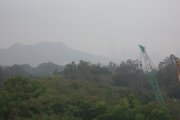 清涼有霧