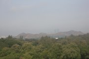 陽光重現
