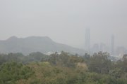 陽光普照