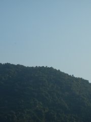 20150123