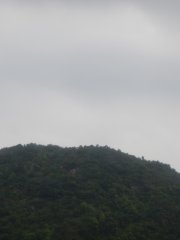 20150323