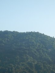 20150202