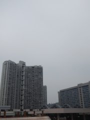 20150206