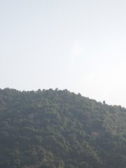 20150129