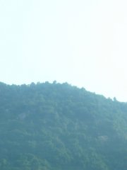 20130116